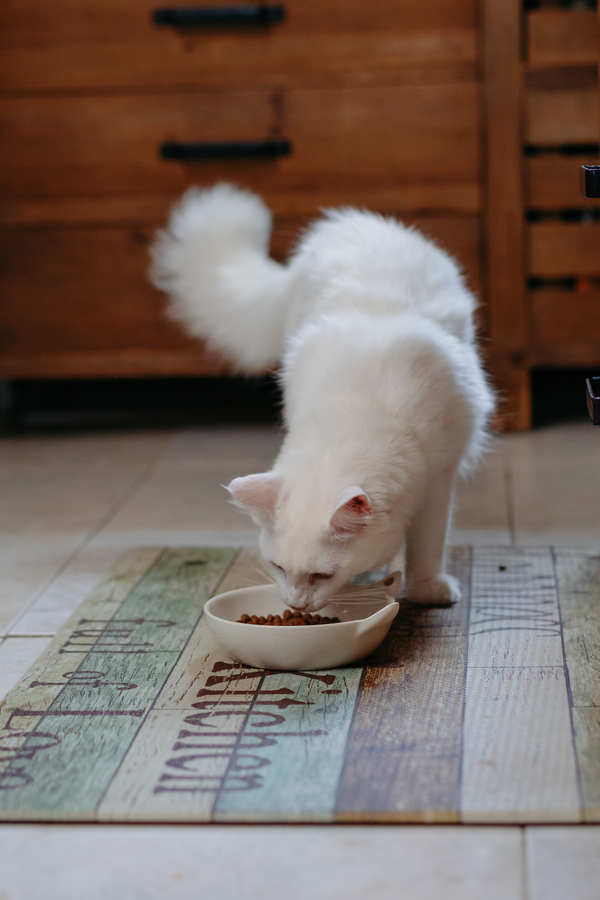 2024-07-03_A7102558 (1).jpg