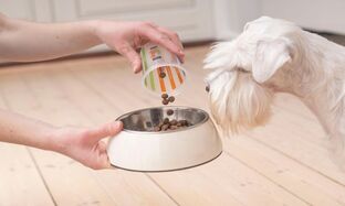 Dog Diarrhea Causes, Symptoms and Treatments_preview.jpg