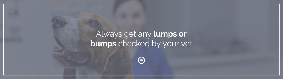 8234 VIR(S) Stelfonta Landing Page-2 resize.jpg